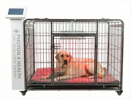 PHOTON 4 HEALTH | REDPOWER&reg; PETS