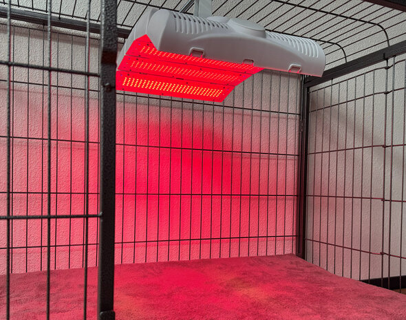 PHOTON 4 HEALTH | REDPOWER&reg; PETS